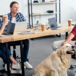 Hund am Arbeitsplatz