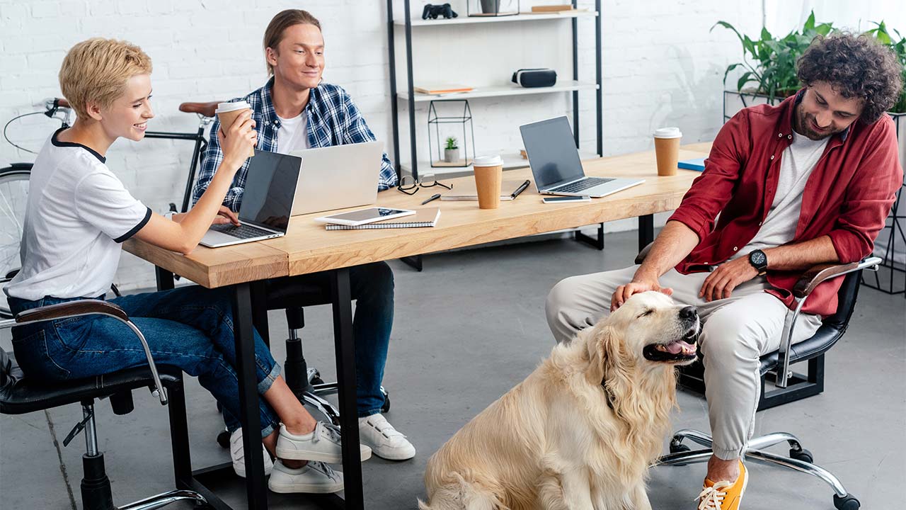 Arbeitskollegen auf vier Pfoten – (fast) immer ein Gewinn für die Belegschaft - bild hund am arbeitsplatz 1 Hund am Arbeitsplatz